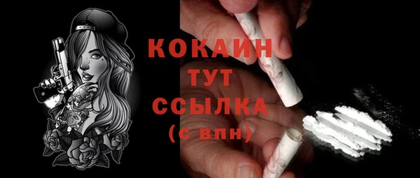 бошки Новозыбков