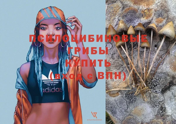 соль курить ск Гусев