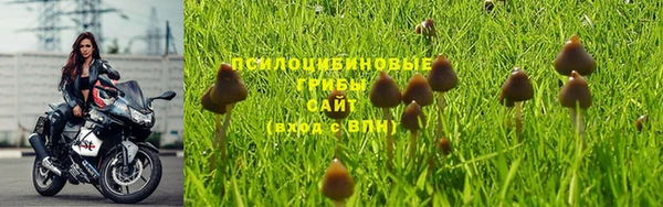 соль курить ск Гусев
